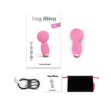 Itsy Bitsy Mini Wand Vibe