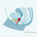Smartball Uno Weighted Kegel Ball