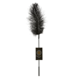 Ostrich Tickler