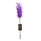 Ostrich Tickler