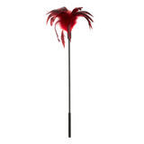 Starburst Tickler