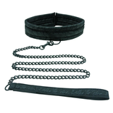 Sincerely Lace Collar & Leash