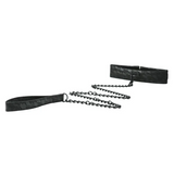 Sincerely Lace Collar & Leash
